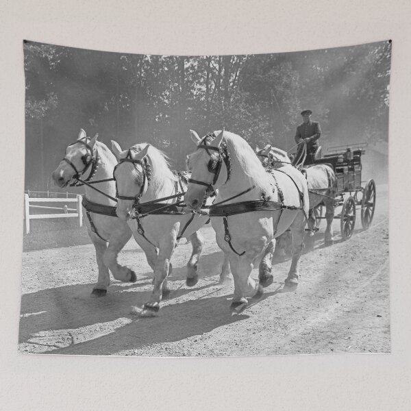 Item preview, r2733/ 16 Nostalgie " Le Haras du Pin " Finition 2021 "  Caléche en Parade public (n&b)(t) Olavia-Olao Okaio Créations designed and sold by o.okaïo.