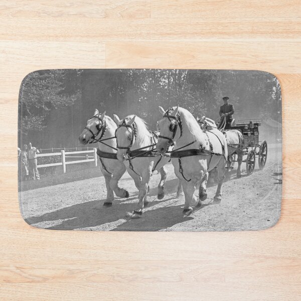 Item preview, r2733/ 16 Nostalgie " Le Haras du Pin " Finition 2021 "  Caléche en Parade public (n&b)(t) Olavia-Olao Okaio Créations designed and sold by o.okaïo.