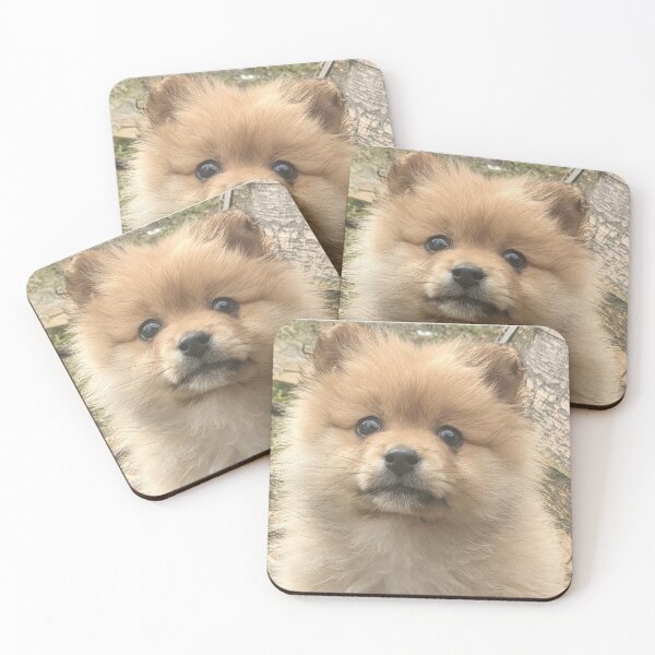 Item preview, Pomeranian puppy designed and sold by Fluffycat2020.