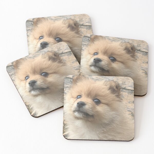 Item preview, Pomeranian puppy designed and sold by Fluffycat2020.