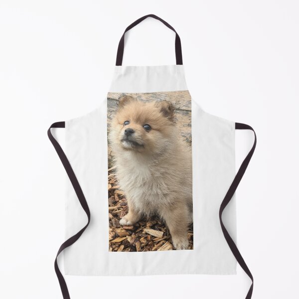 Item preview, Pomeranian puppy designed and sold by Fluffycat2020.