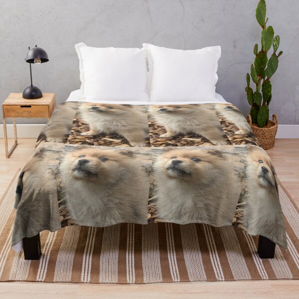 Item preview, Pomeranian puppy designed and sold by Fluffycat2020.