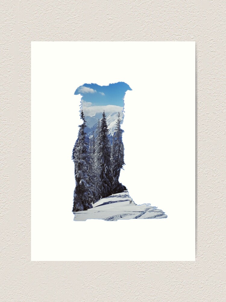 Border Collie Alpine Trees Double Exposure Silhouette Art Print By