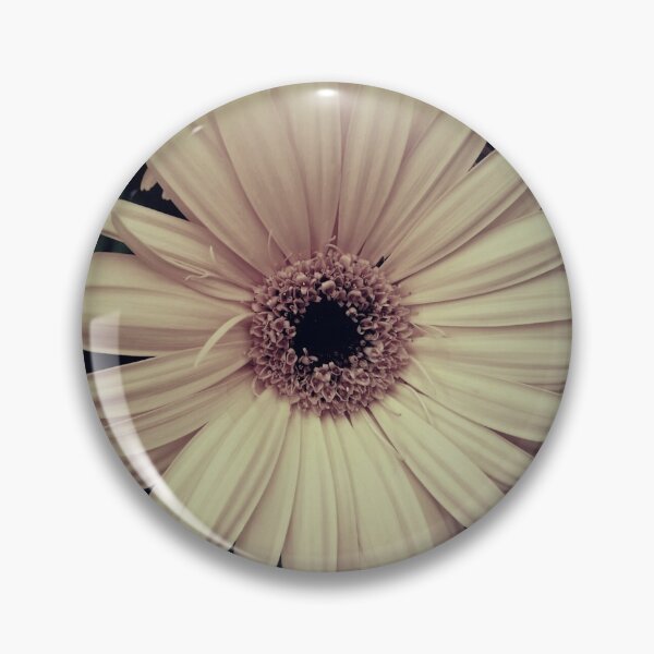 Item preview, Creamy Yellow Gerbera Daisy Flower Modern Cottage Chic Matted Picture A065 designed and sold by byNicol.
