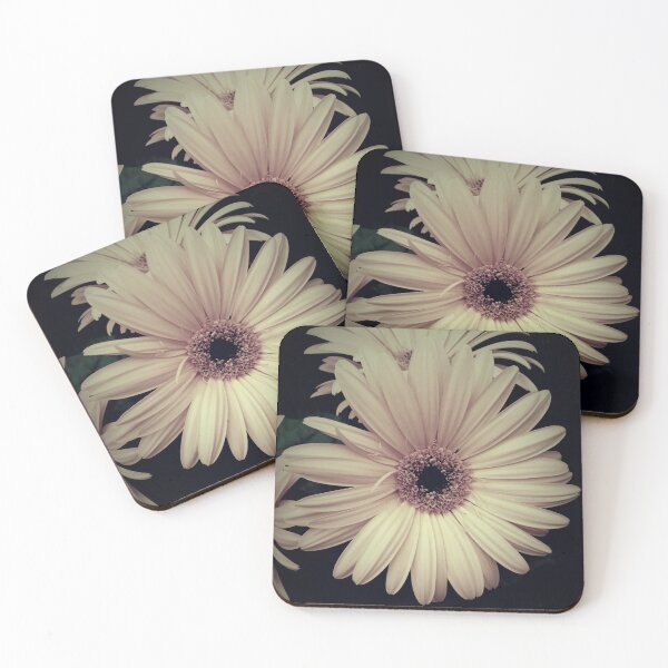 Item preview, Creamy Yellow Gerbera Daisy Flower Modern Cottage Chic Matted Picture A065 designed and sold by byNicol.