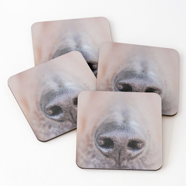 Item preview, Dog Nose Retro Photo designed and sold by graemariedesign.