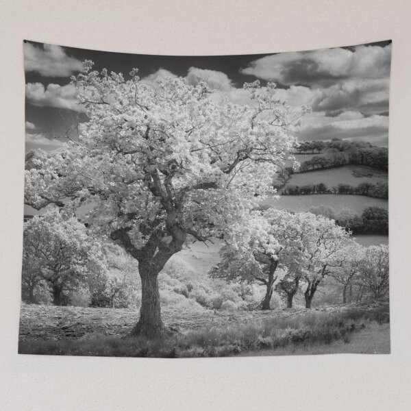 Item preview, Trees in Infrared designed and sold by heidipics.