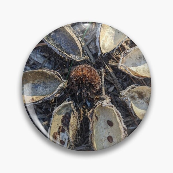 Item preview, Milkweed pod designed and sold by Jenambs.