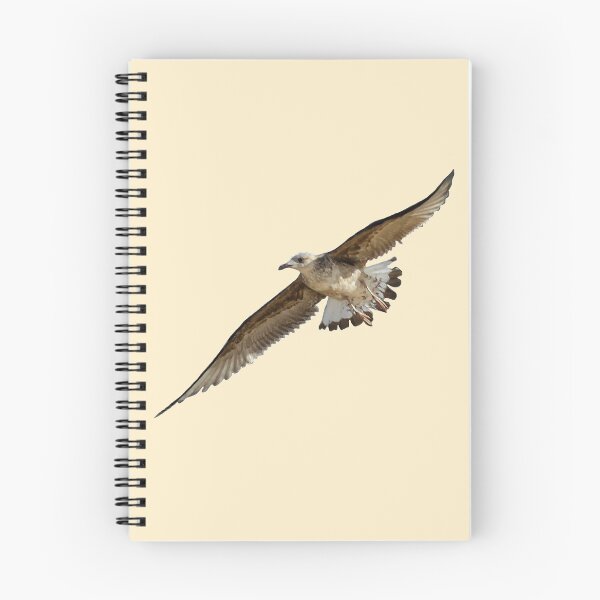 Item preview, Seagull while flying designed and sold by CreaVisArt.