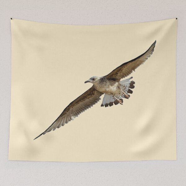 Item preview, Seagull while flying designed and sold by CreaVisArt.