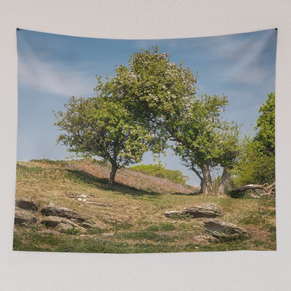 Artikelvorschau, Trees on Top of the Hillfort entworfen und verkauft von heidipics.