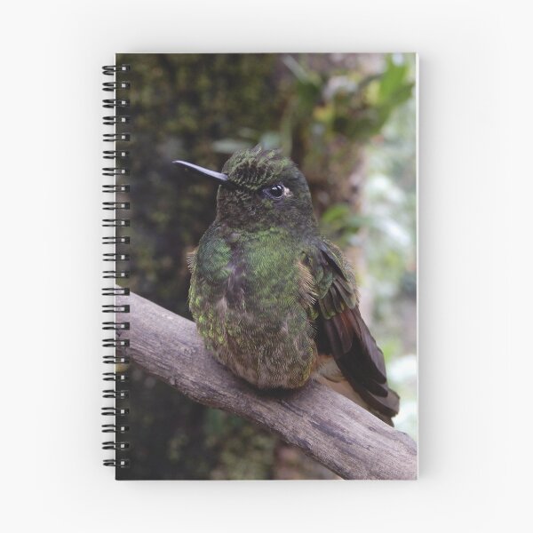 Item preview, Humming Bird designed and sold by Studio MaC.