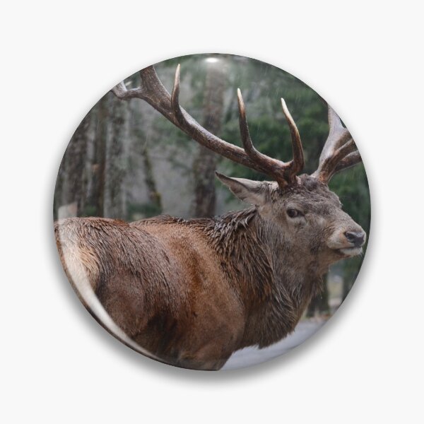 Item preview, Stag in the Rain designed and sold by Steve Stones.