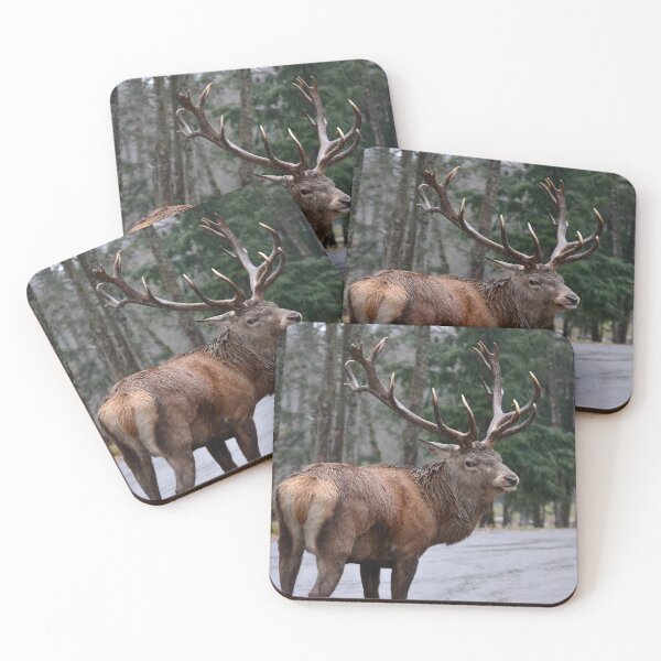 Item preview, Stag in the Rain designed and sold by Steve Stones.