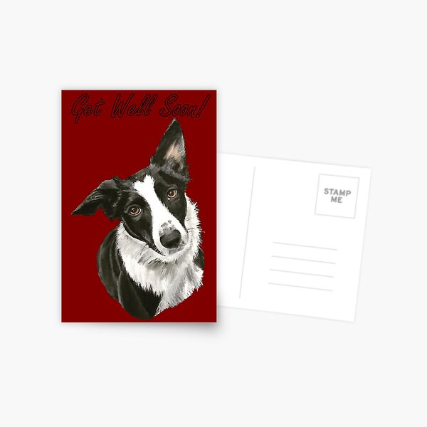 Look of Affection - Get Well Soon Card Postcard