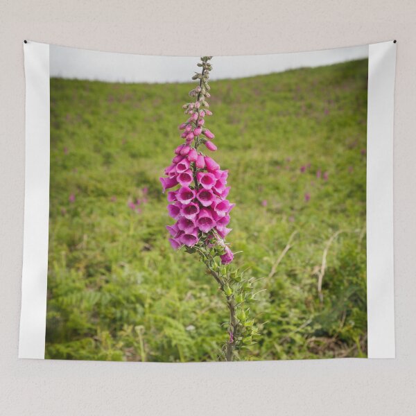 Item preview, Foxglove designed and sold by heidipics.