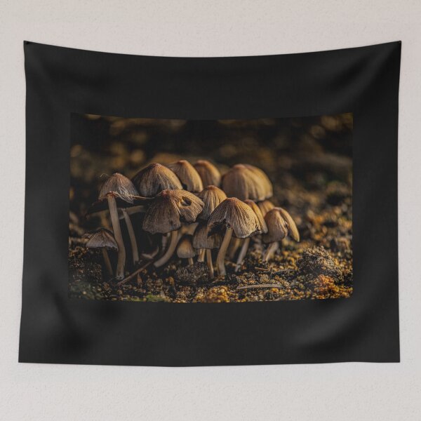Item preview, Huddling Mushrooms designed and sold by Buckwhite.
