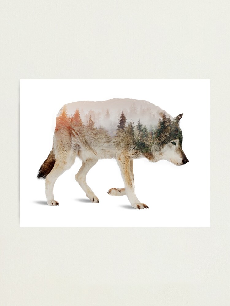 Alternate view of Wolf Photographic Print