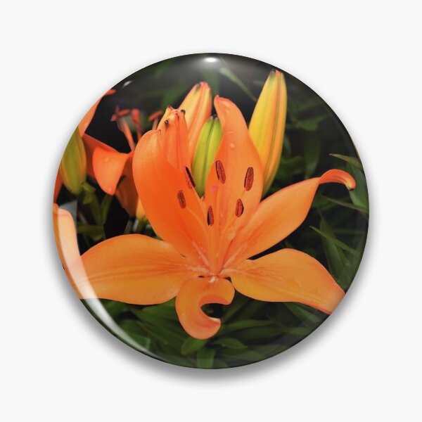 Item preview, Enchanted Lily designed and sold by DonnaM.
