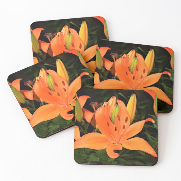 Item preview, Enchanted Lily designed and sold by DonnaM.