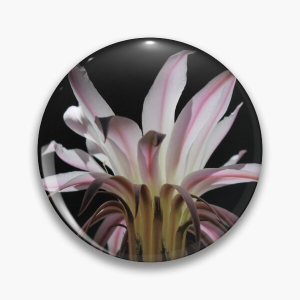 Item preview, Cactus flower  designed and sold by Mitko  Peroski.