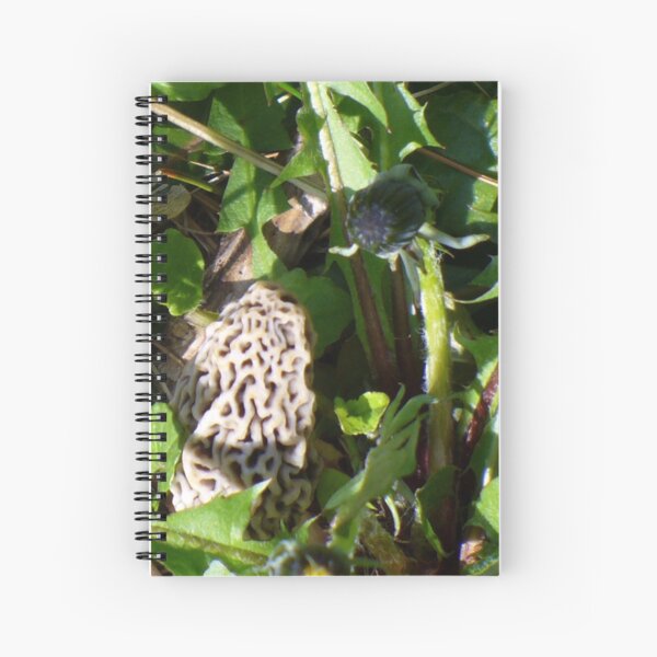 morel Spiral Notebook