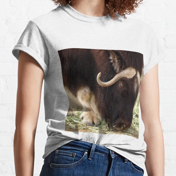 CO503 Classic T-Shirt