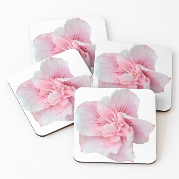Item preview, Pink Flower Hibiscus  Still Life Floral Photography designed and sold by CottoVerdi.