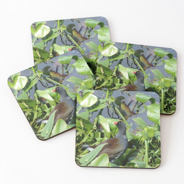 Item preview, Red Crested Waterhen Common Gallinule designed and sold by toddbrooney.