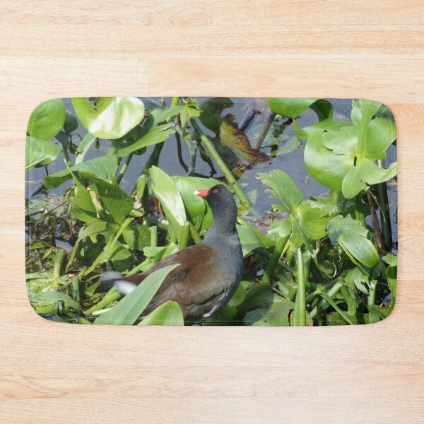 Item preview, Red Crested Waterhen Common Gallinule designed and sold by toddbrooney.
