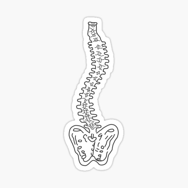 Item preview, S-Shaped Curved Spine designed and sold by Chloe Jackson-Nott.