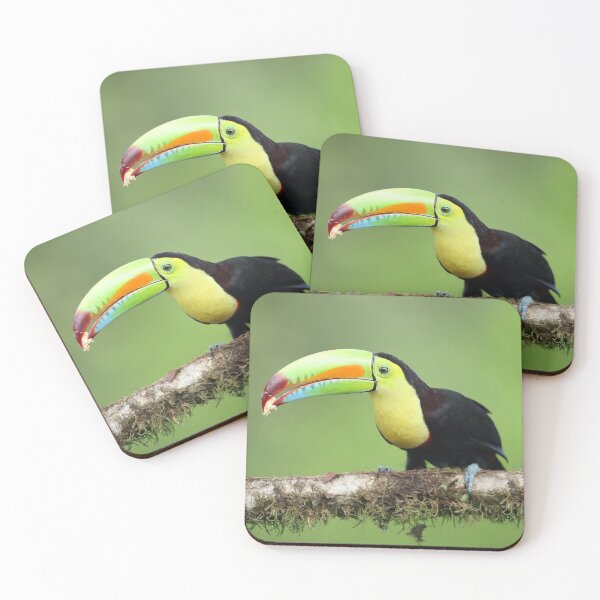 Item preview, Keel-Billed Toucan designed and sold by mlorenz.