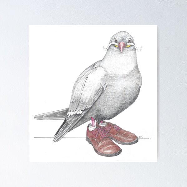 Item preview, Inca Tern in Derby Shoes designed and sold by JimsBirds.