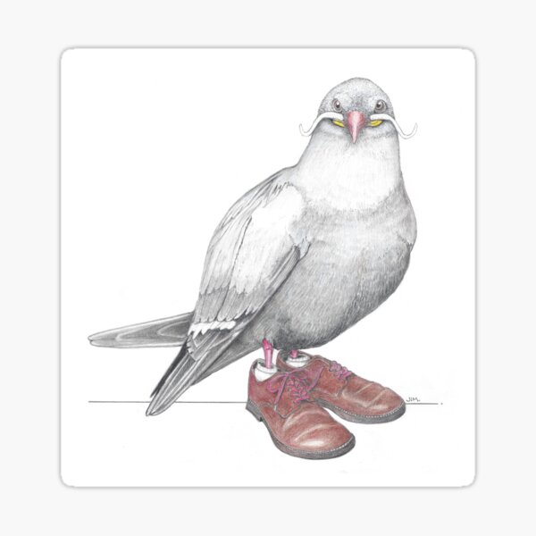 Item preview, Inca Tern in Derby Shoes designed and sold by JimsBirds.