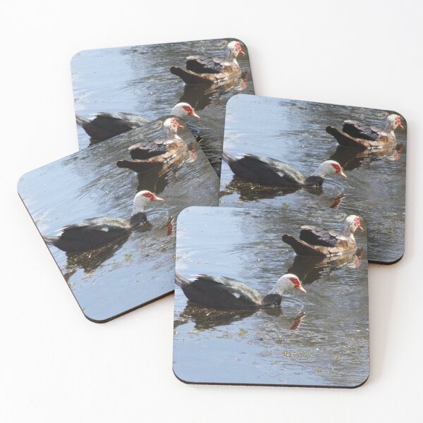 Item preview, Sweet Duck Couple designed and sold by toddbrooney.
