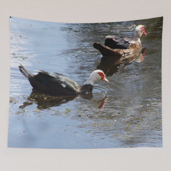 Item preview, Sweet Duck Couple designed and sold by toddbrooney.