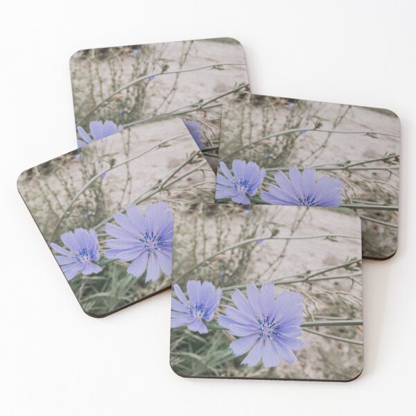 Item preview, Periwinkle Roadside Flower Retro Photo designed and sold by graemariedesign.