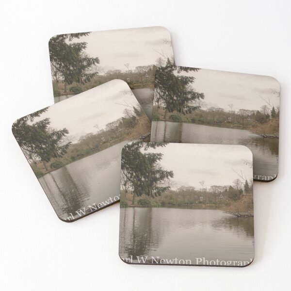 Item preview, Moseley Park & Pool designed and sold by kwn1804.