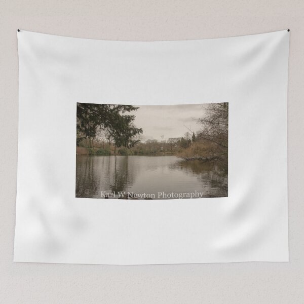 Item preview, Moseley Park & Pool designed and sold by kwn1804.