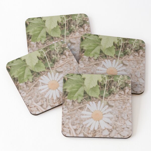 Item preview, Roadside White Daisy Retro Photo designed and sold by graemariedesign.