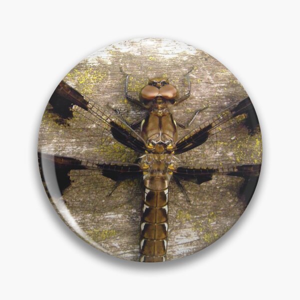 Item preview, Dragonfly designed and sold by Shulie1.