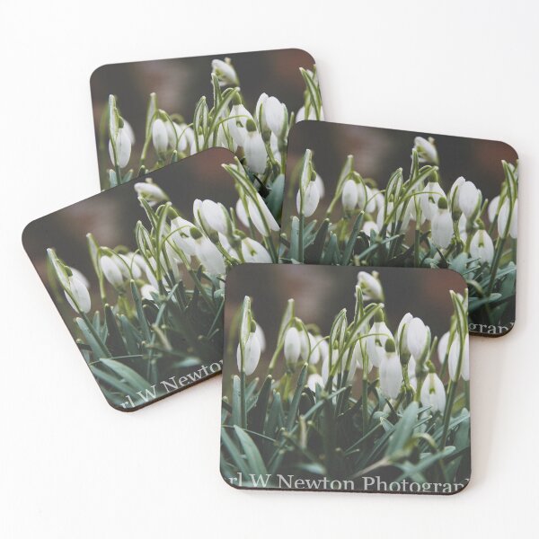 Item preview, Snow Drops designed and sold by kwn1804.