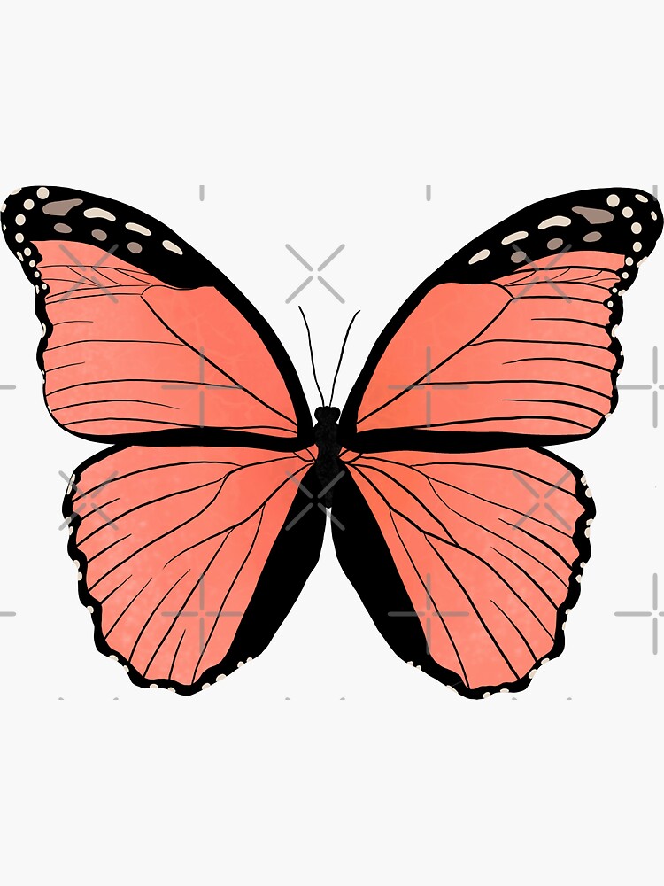 Black silhouette of a large butterfly and flying Vector Image
