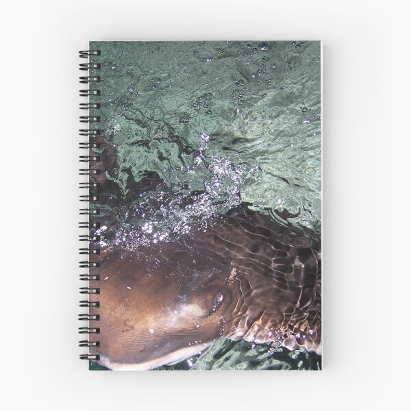 Item preview, Stingray lindo y amistoso nadando designed and sold by PolarNightNomad.