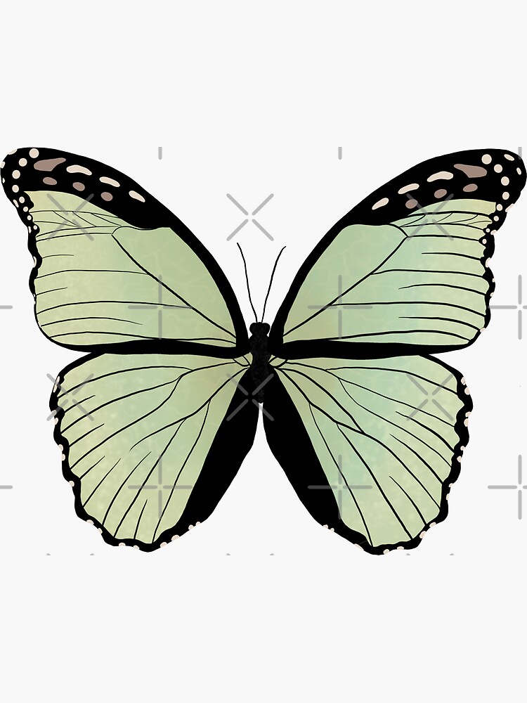 How to Draw a Monarch Butterfly - Really Easy Drawing Tutorial