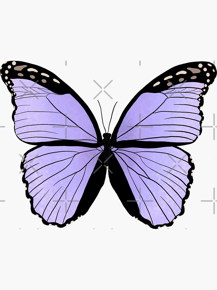 How To Draw a Butterfly - YouTube