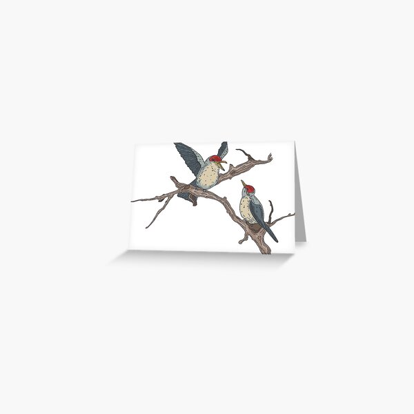 Item preview, illustrated birds T-shirt nature designed and sold by BiancaAlba.