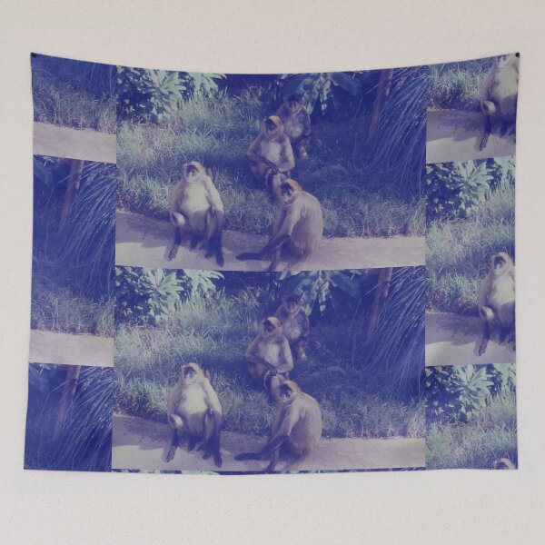 Item preview, Monkey See You, Taronga Park Zoo, Australia 2002 designed and sold by muz2142.