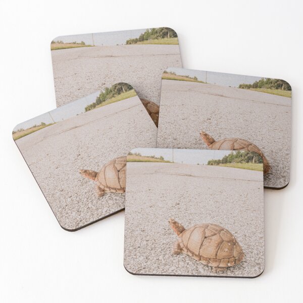 Item preview, Turtle Road Retro Photo designed and sold by graemariedesign.