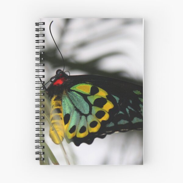 Item preview, LITE designed and sold by Katagram.